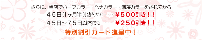 ����ˡ���Ź�Ǿ嵭�Υ��顼�򤵤�Ƥ���
45����1����Ⱦ�˰�����ȡ�����\500��������
45����75������Ǥ⡦����\300��������
���̳�������ɿ����桪
������ȱ���̡�Ĺ���ˤ�äƥץ饹���⤬������ޤ�����\530��\1,050��